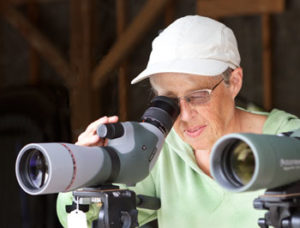 Best Scopes to Observing Big Game