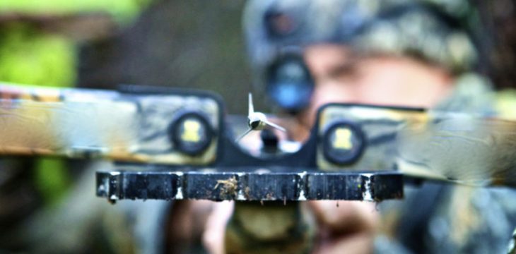 Is It Legal to Hunt Wolves With a Crossbow?