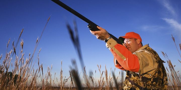 Can I Hunt Big Game With an Air Rifle?